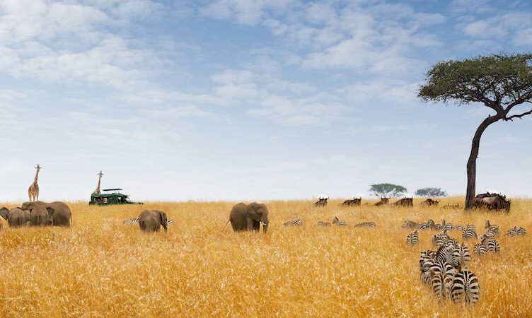 New investor in Travelstart gives it access to funds to own Africa