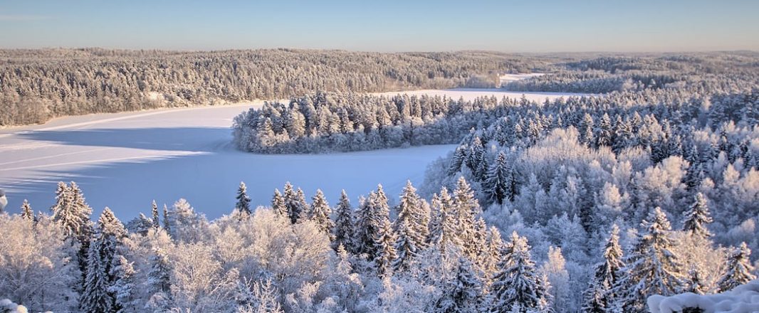 The Wrap: Finnair flies into the tours and activities sector with new digital travel service