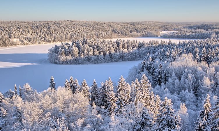 The Wrap: Finnair flies into the tours and activities sector with new digital travel service