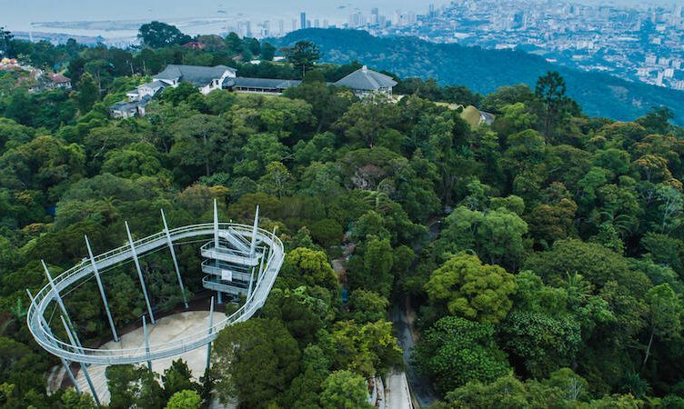 Letter from Green Acres & The Habitat, Penang: Where the grass is indeed greener and nature richer