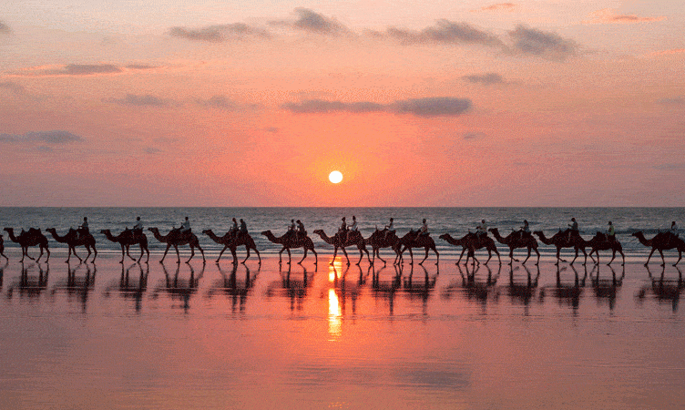 The Wrap: Tourism Western Australia enlists help of SIA, AirAsia to fly in more Asian travellers