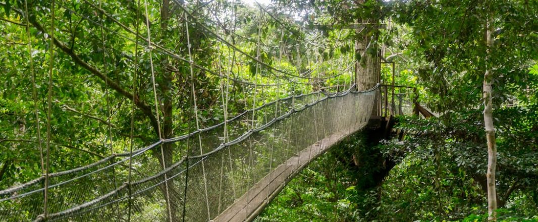 The Wrap: Malaysia launches visit year campaign, eyes 30 million tourist arrivals