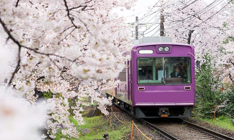The Wrap: Klook rides with JR-West to boost tourism in western Japan