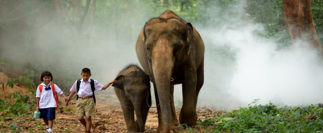 The Wrap: TAT, Expedia launch global sustainable tourism initiative in collaboration with UNESCO
