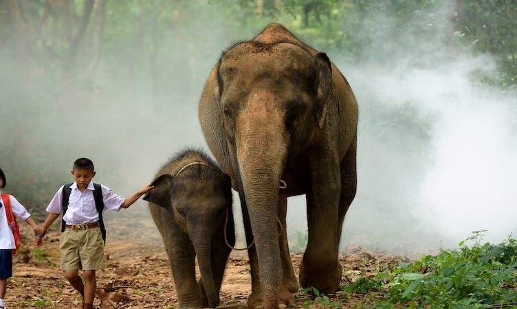 The Wrap: TAT, Expedia launch global sustainable tourism initiative in collaboration with UNESCO