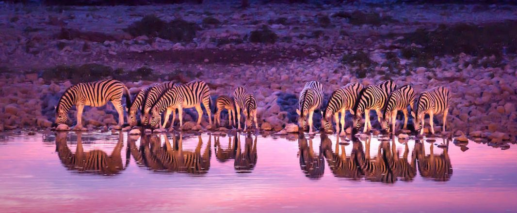 South African Tourism and Tencent team up to boost Chinese arrivals in South Africa