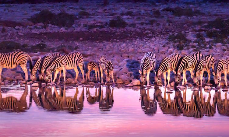 South African Tourism and Tencent team up to boost Chinese arrivals in South Africa