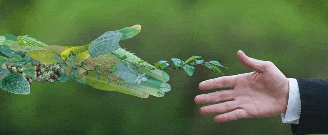 The Wrap: Businesses aware of need for greener travel but majority yet to adopt best practices, says GBT