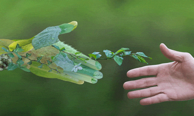 The Wrap: Businesses aware of need for greener travel but majority yet to adopt best practices, says GBT