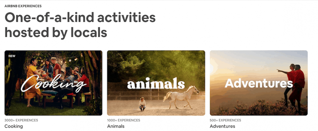 Airbnb nabs Walt Disney veteran Powell to lead Experiences team