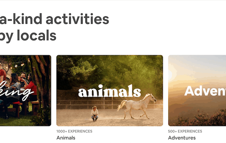 Airbnb nabs Walt Disney veteran Powell to lead Experiences team