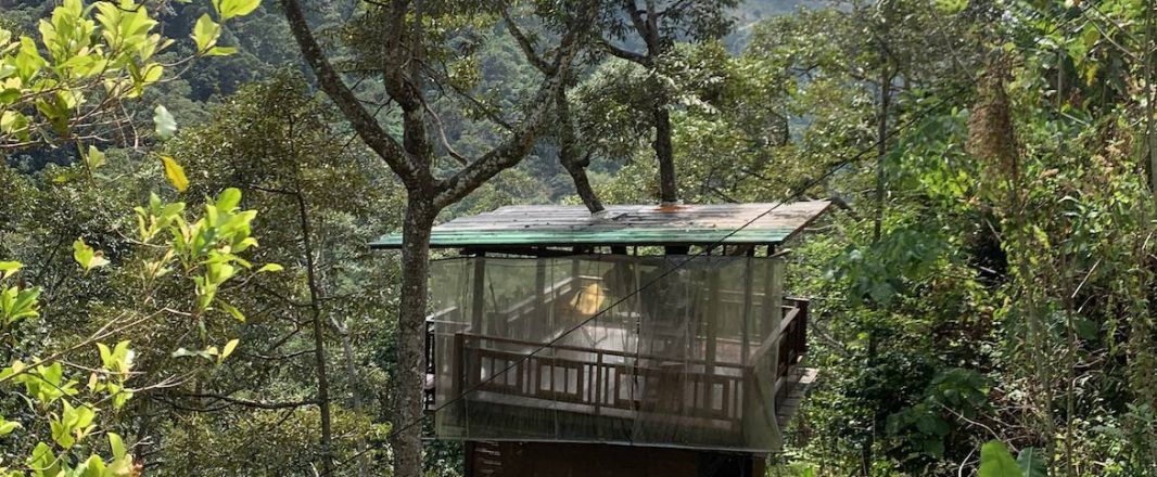 Letter from Penang: Going batty in Green Acres and getting lost in Garden of Evening Mists