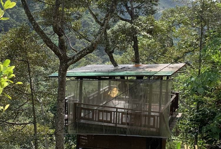 Letter from Penang: Going batty in Green Acres and getting lost in Garden of Evening Mists