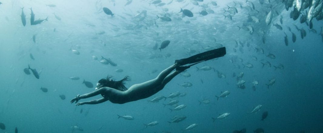 Amid cancellations and chaos, be brave, adjust to the new normal and take lessons from free diving