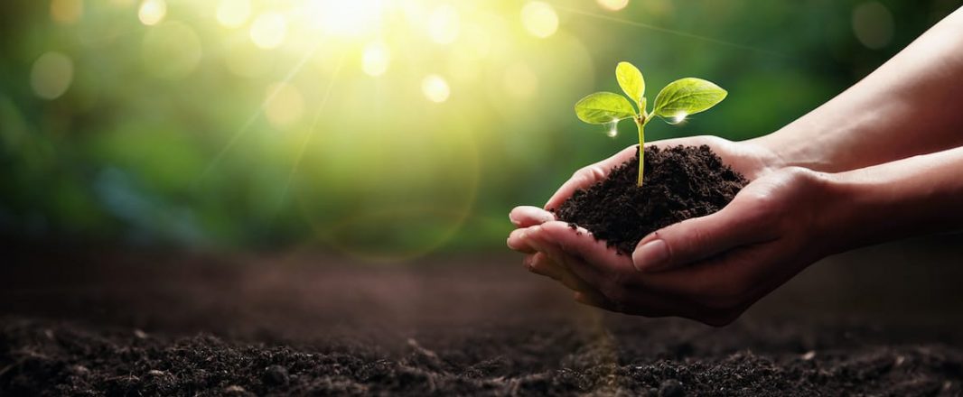 Green shoots are there, innovate on products and services to capture current need