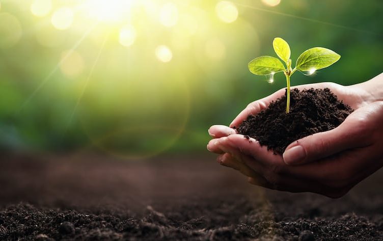 Green shoots are there, innovate on products and services to capture current need