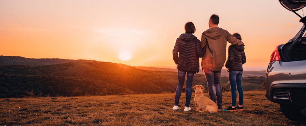 Boost domestic travel confidence to spark recovery before international demand returns, says Sojern