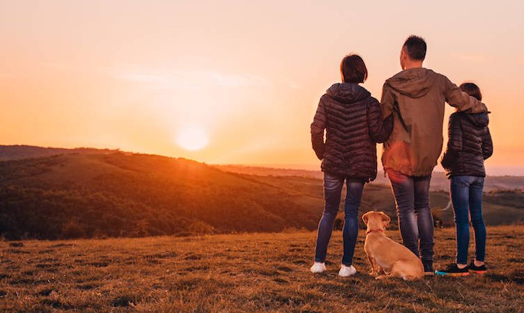 Boost domestic travel confidence to spark recovery before international demand returns, says Sojern
