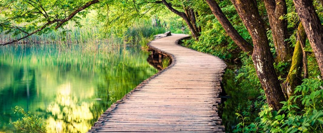 WiT Community Blog: “And Just Like That, Travel Is Gone” –  Johnny Thorsen, travel technology innovator