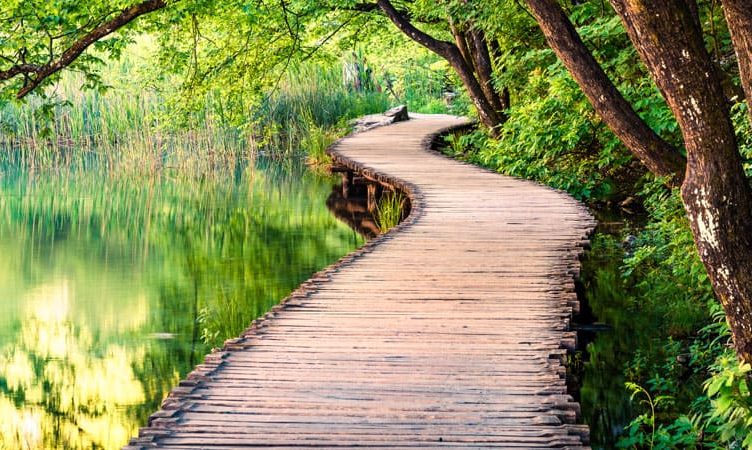 WiT Community Blog: “And Just Like That, Travel Is Gone” –  Johnny Thorsen, travel technology innovator