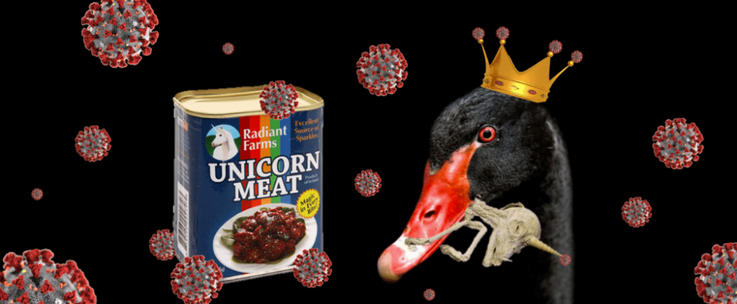 2020: Year of the Unicorpse, or the Black Swan with a Silver Lining?