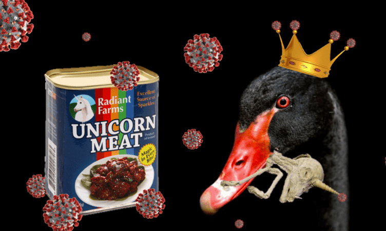 2020: Year of the Unicorpse, or the Black Swan with a Silver Lining?
