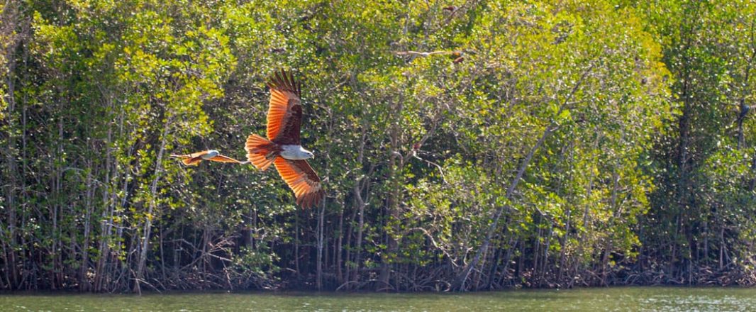 The Wrap: Domestic tourism takes off in Malaysia, SIA rolls out new project to thank Covid-19 frontliners, and more …