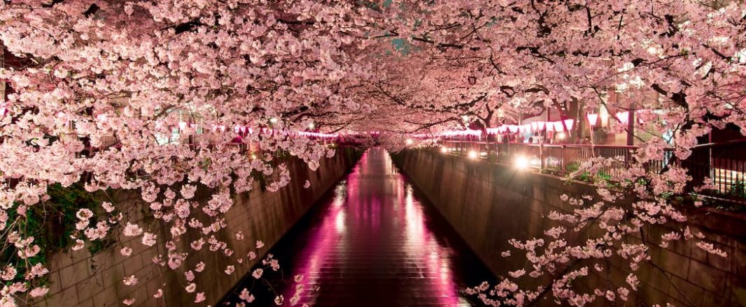 As domestic travel picks up in Japan, players adapt with safety measures, micro-targeting and hybrid models