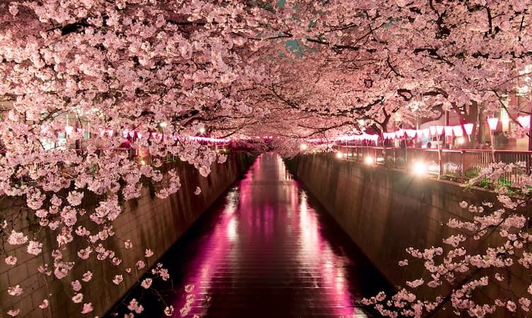 As domestic travel picks up in Japan, players adapt with safety measures, micro-targeting and hybrid models