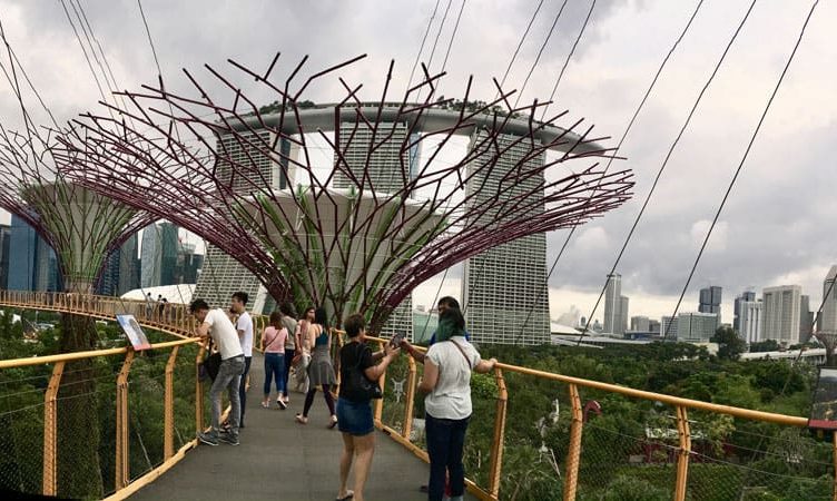 The Wrap: Singapore Tourism Board’s new programme ensures Indian travellers have the city in mind, Flight Centre buys San Francisco-based Whereto, and more …