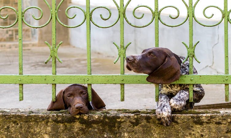 Still and Stuck: What’s the one big thing Covid-19 challenged your thinking on? Here are some answers