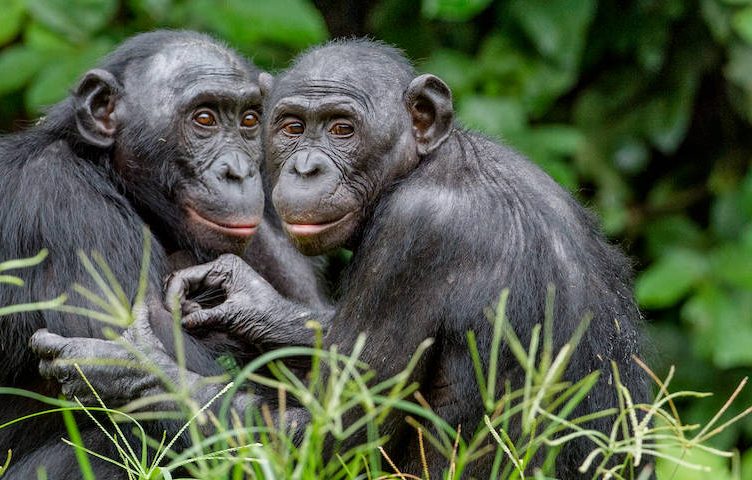 Balancing the bad and good news and thinking about survival of the friendliest