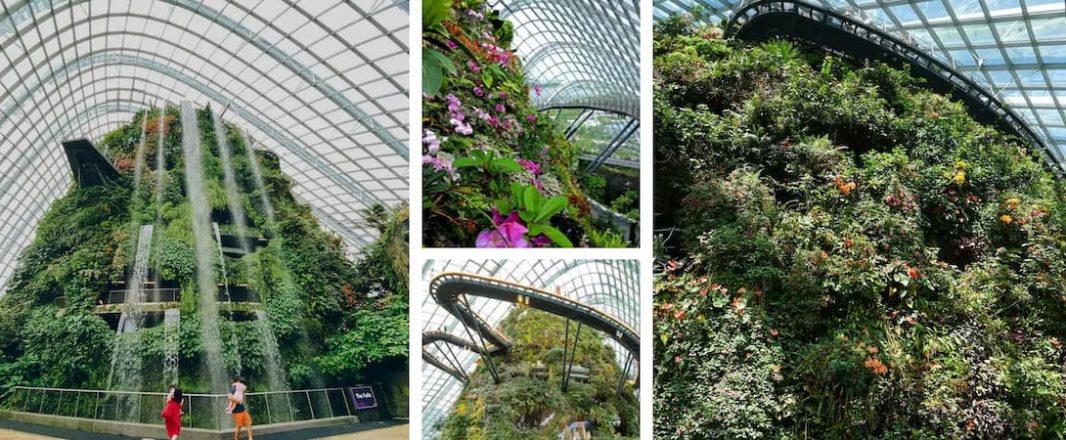 STB and Airbnb Experiences partner to bring virtual tourism to global travellers