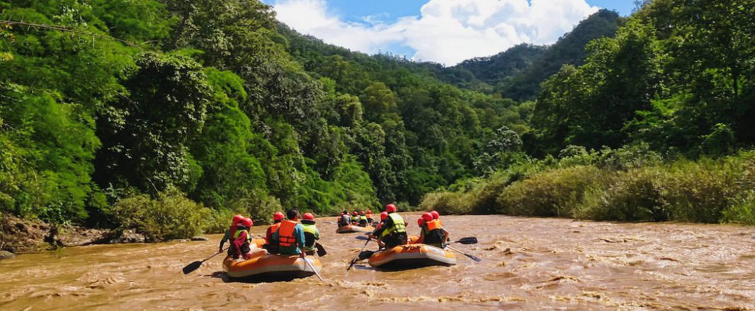 The Wrap: TripAdmit’s new solution for tour and activity providers to sell online, airasia group celebrates 19th birthday with airasia Museum launch, and more …