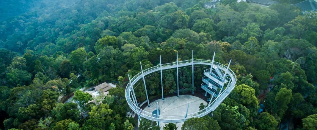 Curtis-Crest-Tree-Top-Walk2