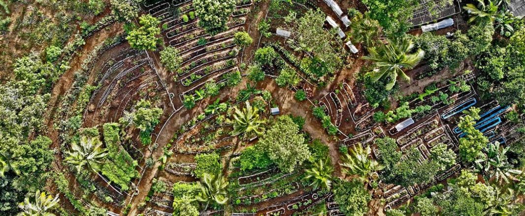 Sustainability starts from the get-go, it’s not a switch you turn on: Dixon