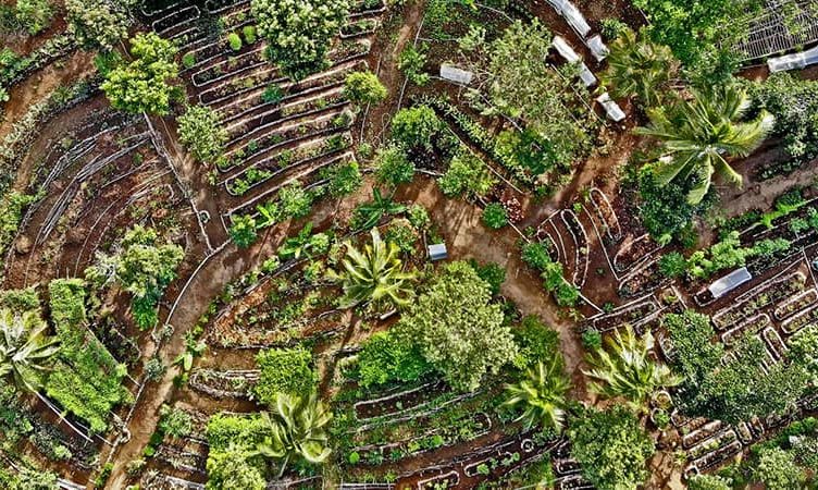 Sustainability starts from the get-go, it’s not a switch you turn on: Dixon