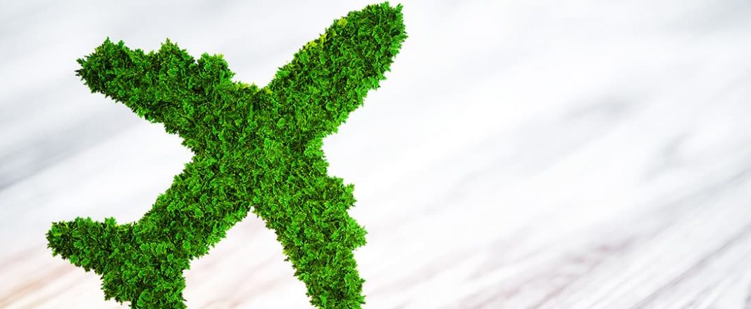 Carbon Conundrum of a Gen Z-er Global Citizen