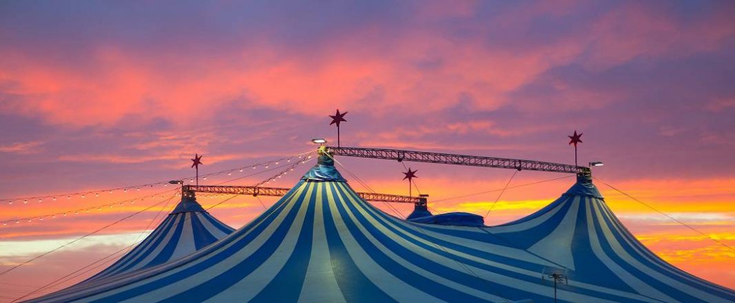 Breaking barriers and breaking records; the pivot to virtual of Phare, The Cambodian Circus
