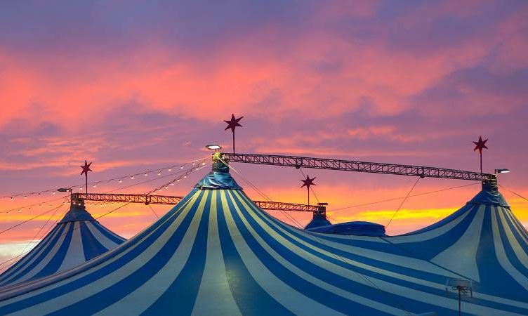 Breaking barriers and breaking records; the pivot to virtual of Phare, The Cambodian Circus