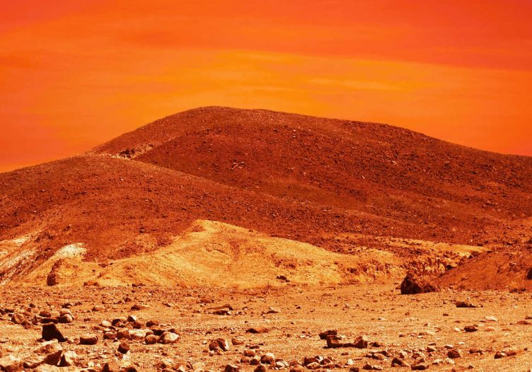 And you thought Covid-19 was bad? What’s coming could be worse – life on Mars