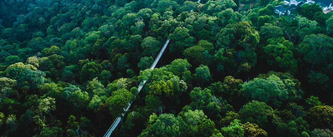 The Wrap: UNESCO designates Penang Hill a biosphere reserve, Etihad inks new deal with Amadeus, and more …