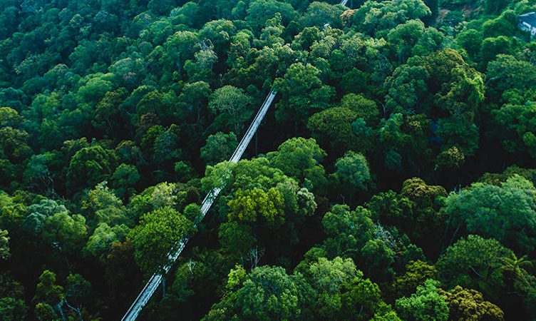 The Wrap: UNESCO designates Penang Hill a biosphere reserve, Etihad inks new deal with Amadeus, and more …