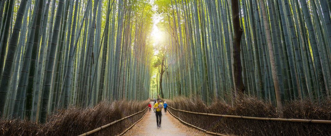 Japanese travel in transition to better times ahead as curbs eased and Go To Travel campaign may restart