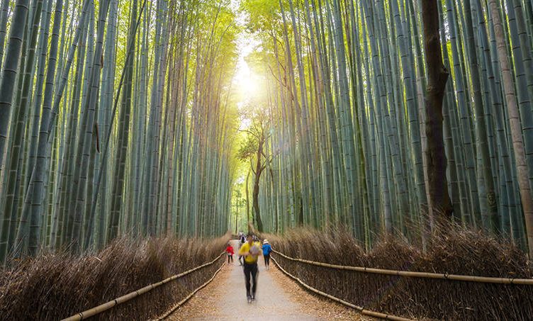 Japanese travel in transition to better times ahead as curbs eased and Go To Travel campaign may restart