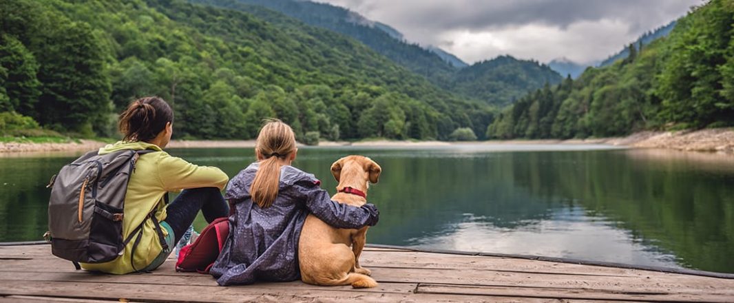 Travel recovery maintains momentum with increasing demand for leisure and business trips, Expedia report finds