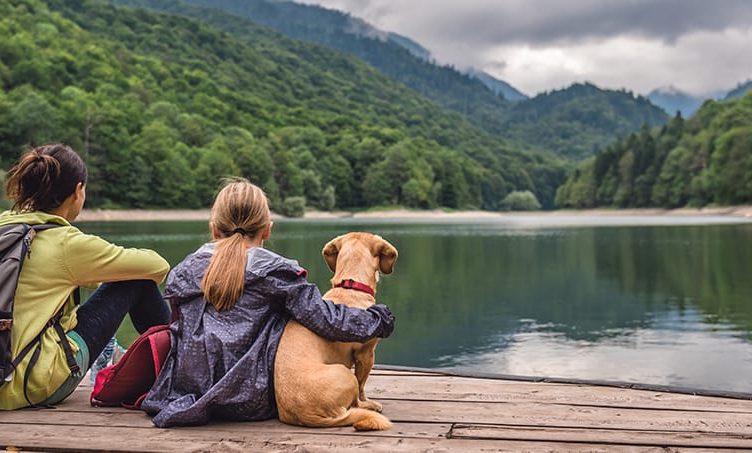Travel recovery maintains momentum with increasing demand for leisure and business trips, Expedia report finds