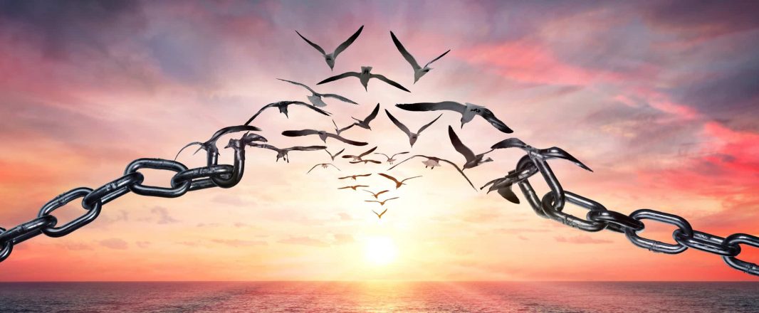 IATA calls for all travel barriers to be removed; slight recovery in air travel demand in 2021
