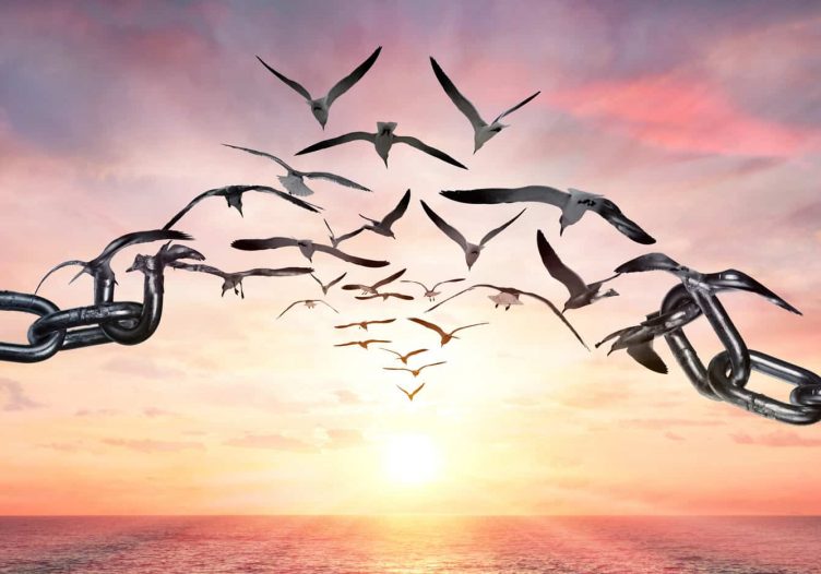 IATA calls for all travel barriers to be removed; slight recovery in air travel demand in 2021