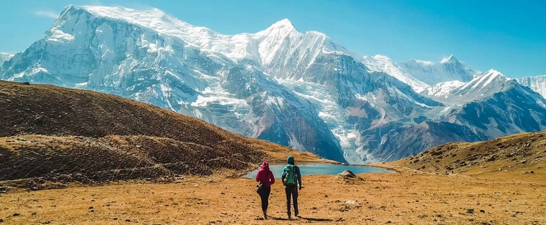 Growing appetite for travel driven by borders reopening and VTLs: Report